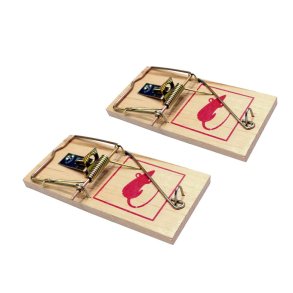 Royal Museflder - 2 Stk. 