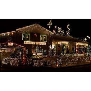 PRO CONNECT - 100 LED - Varmhvid Lyskde