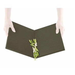 Eva Solo Green Tool - DoubleUp Skrebrt