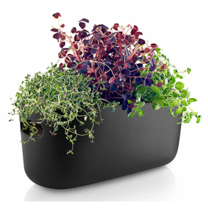 Eva Solo Urteorganiser - Sort - Selvvandende