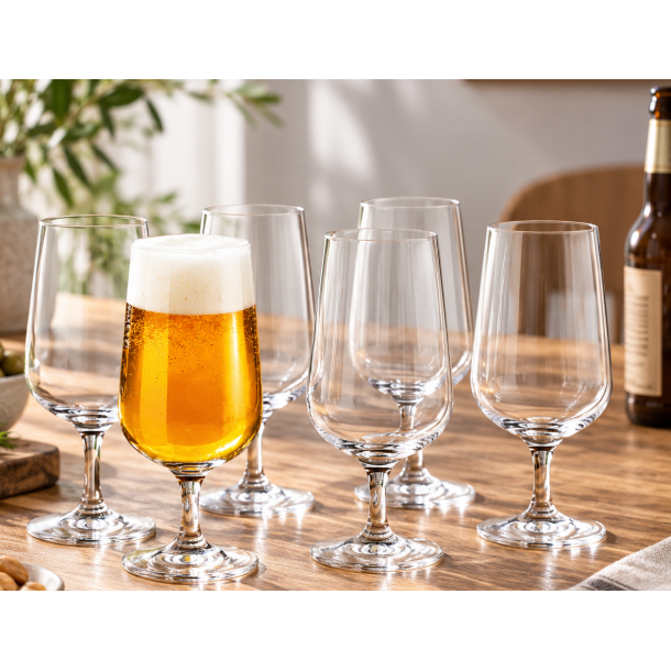 Holmegaard Bouquet �lglas - 53 cl - 6 stk.