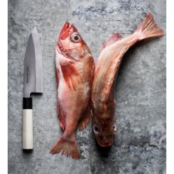 Bunmai Debakniv - 16,5 cm