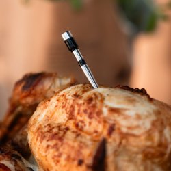 Sobczyk - Stegetermometer Trdlst